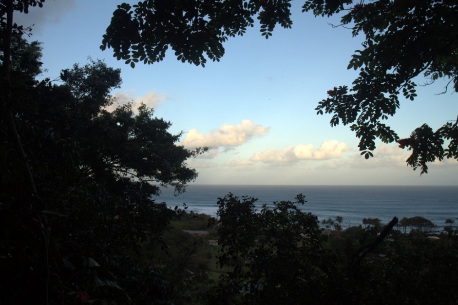 Treehouse Bungalow: My best Haleiwa Airbnb rental recommendation ...